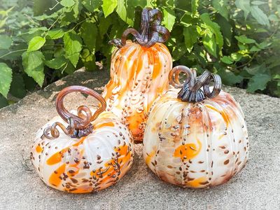 Pumpkin Set #2