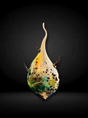 Natantes In Iride Gemma Tonis