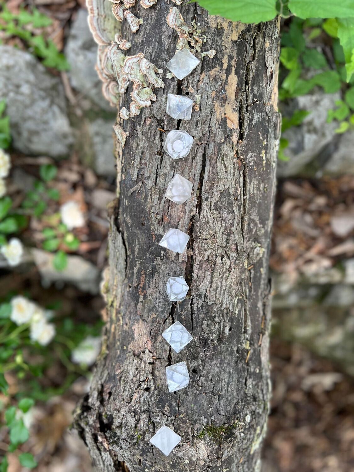 Octahederon - Clear fluorite Crystals