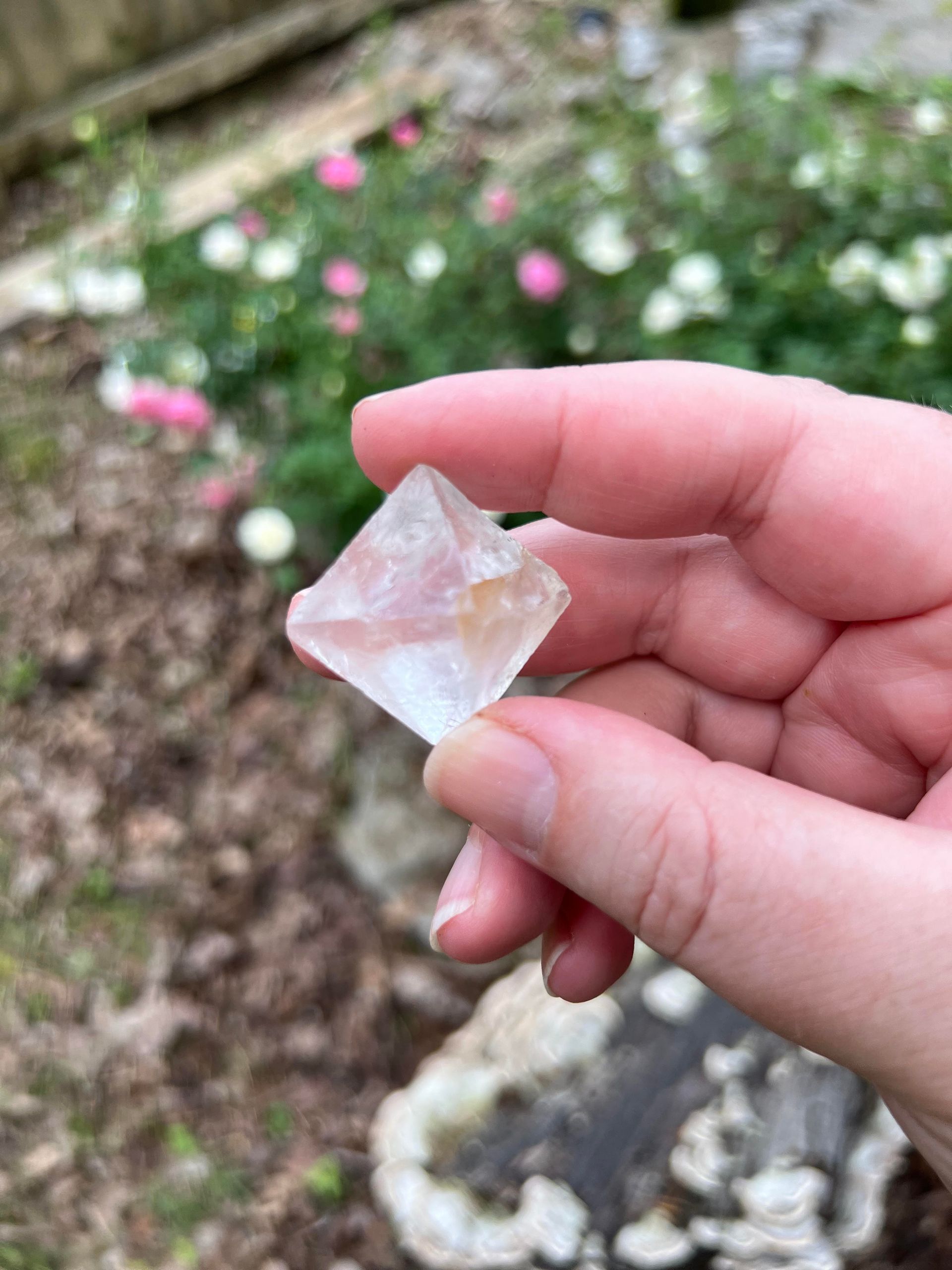 Octahederon - Clear fluorite Crystals