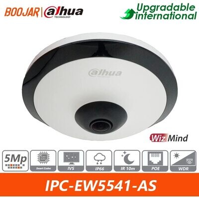 Dahua Original IPC-EW5541-AS 5MP WizMind IR Fisheye Network CAMERA Support people Counting In Area  Built-in Mic