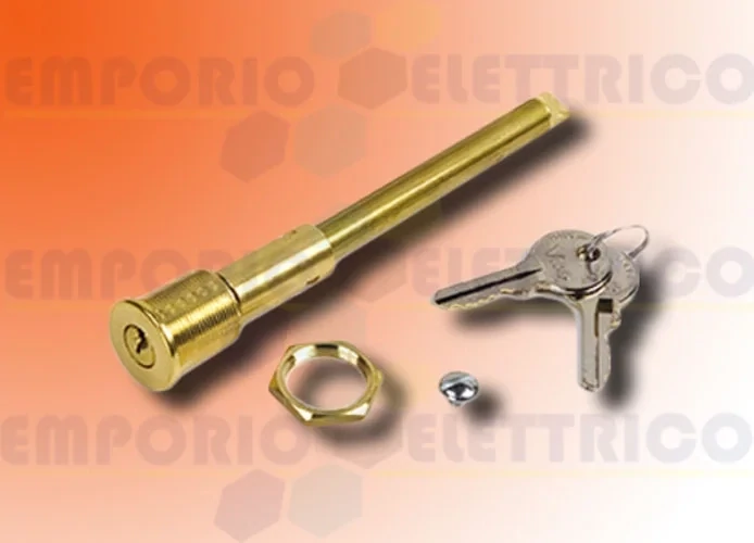 unlocking lock for gate