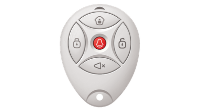 DS-19K00-Y(433MHz) keyfob