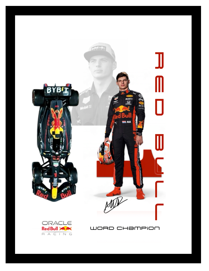 F1 RED BULL M.VERSTAPPEN WORLD CHAMPION 2023 1:24