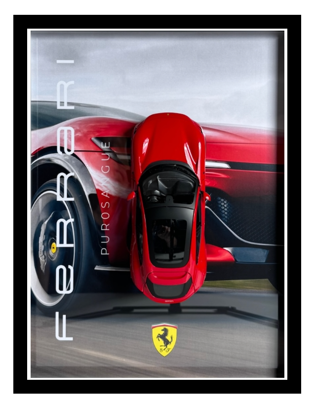 FERRARI PURESANGUE 1:24