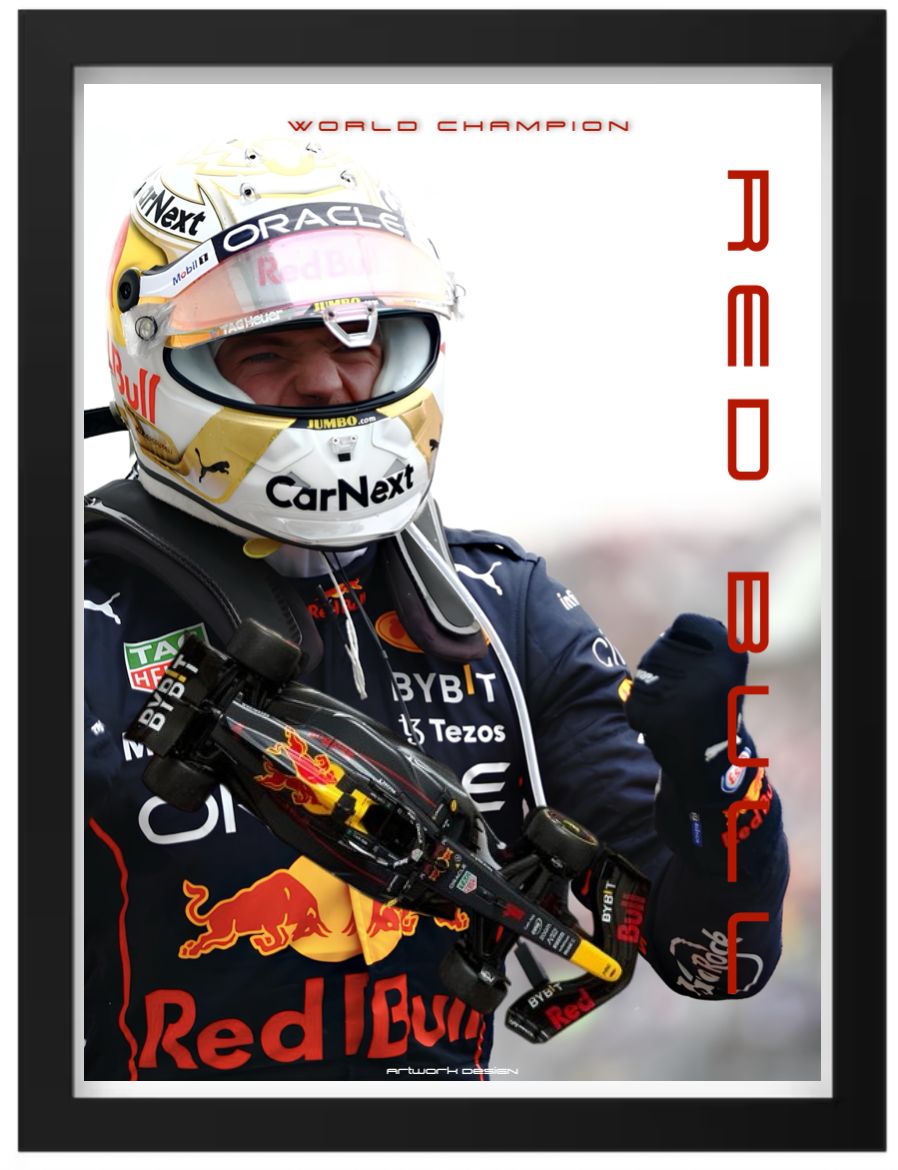 F1 RED BULL MAX VERSTAPPEN 1:24
