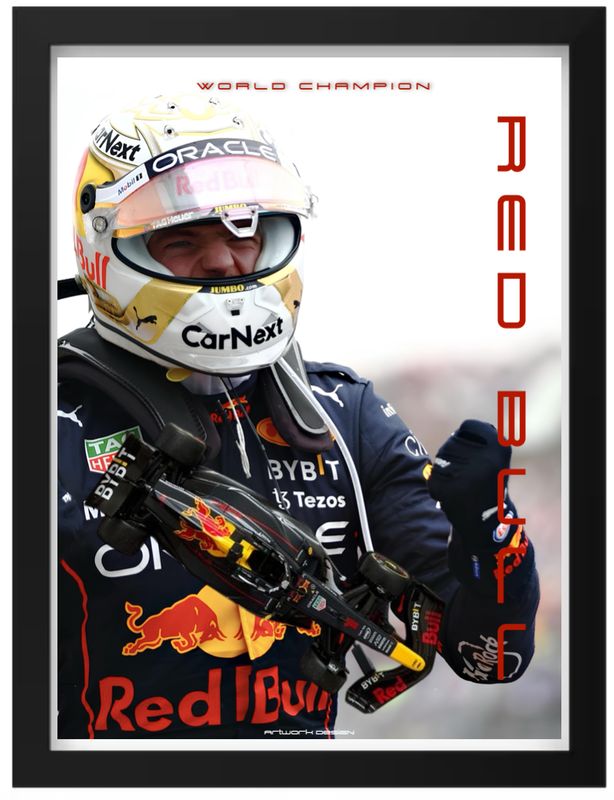 F1 RED BULL MAX VERSTAPPEN 1:24