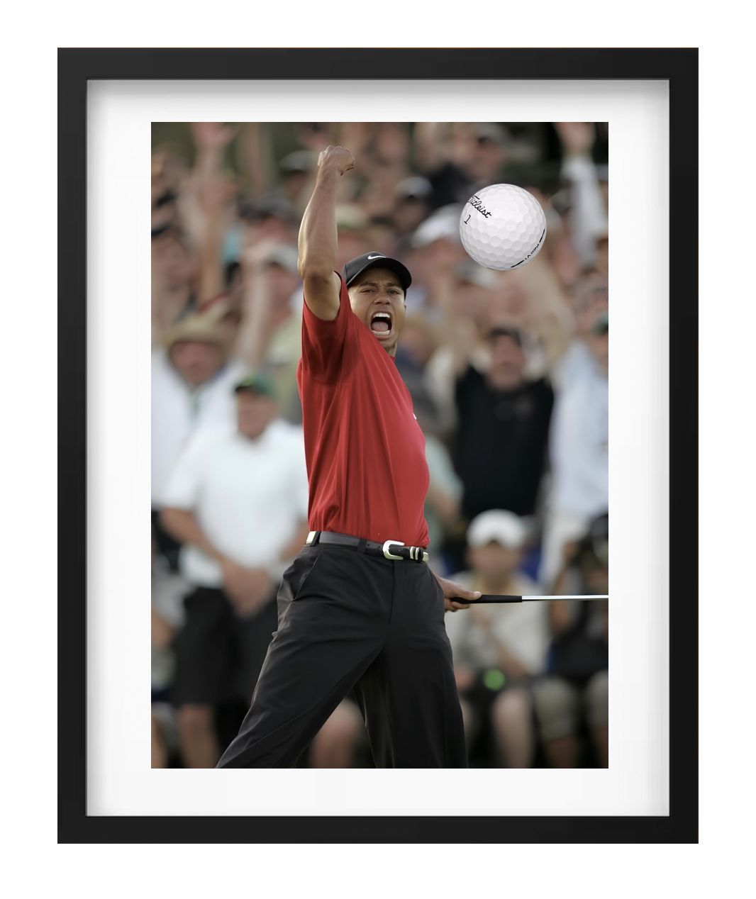 GOLF (5)