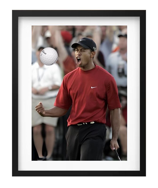GOLF (5)