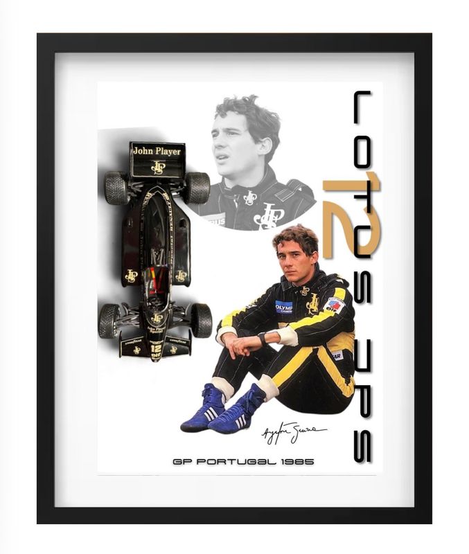 FORMULE 1 (18) 1:24