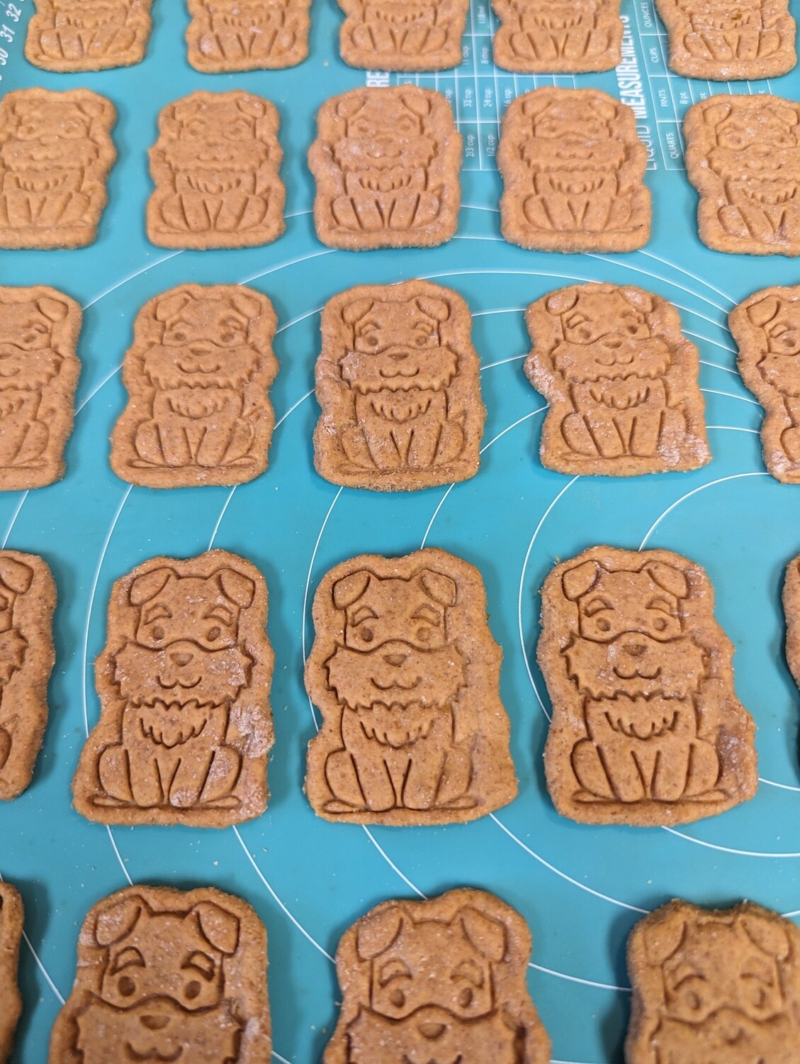 Roxy&#39;s Pumpkin Treats