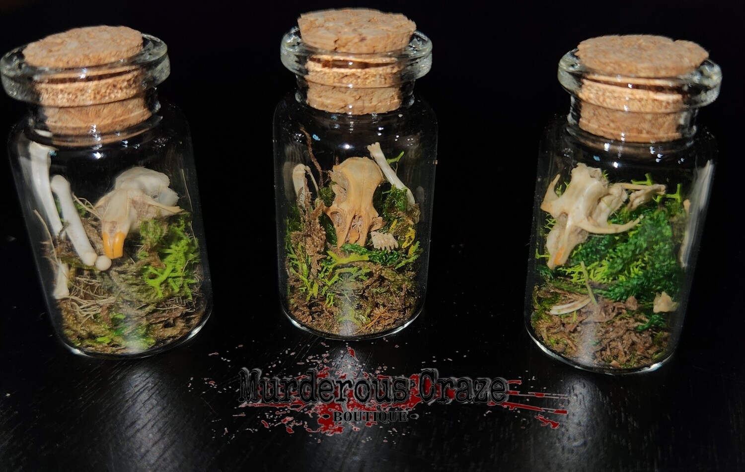 Lost In The Woods Spell Jars