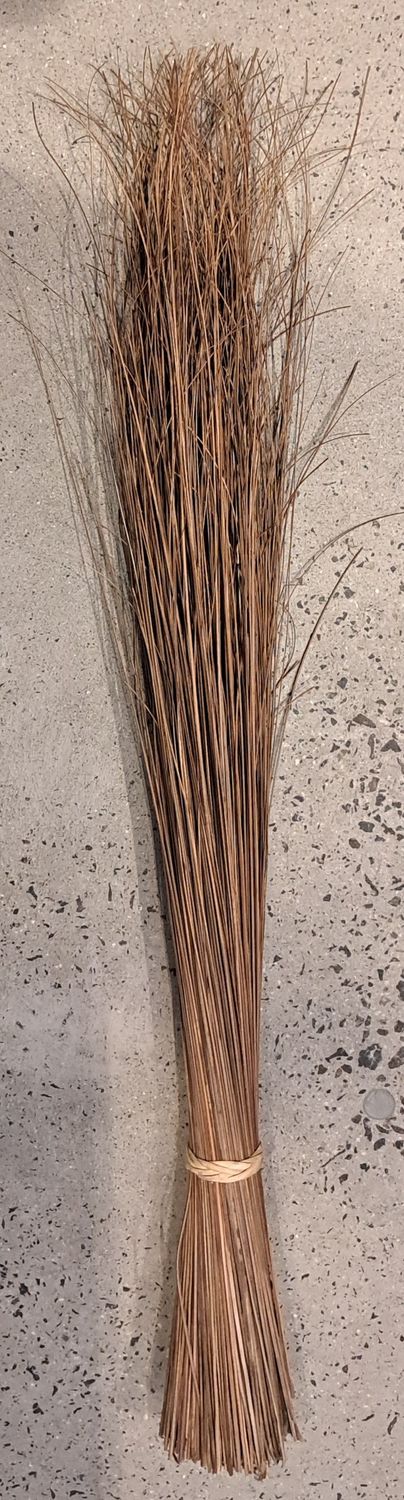 Walis Ting Ting