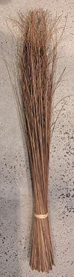 Walis Ting Ting