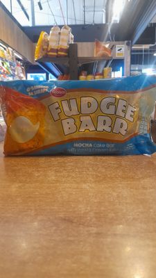 Fudge Bar Mocha (10x10g)