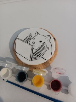 Run&#39;s Paint your own cookie  Kit