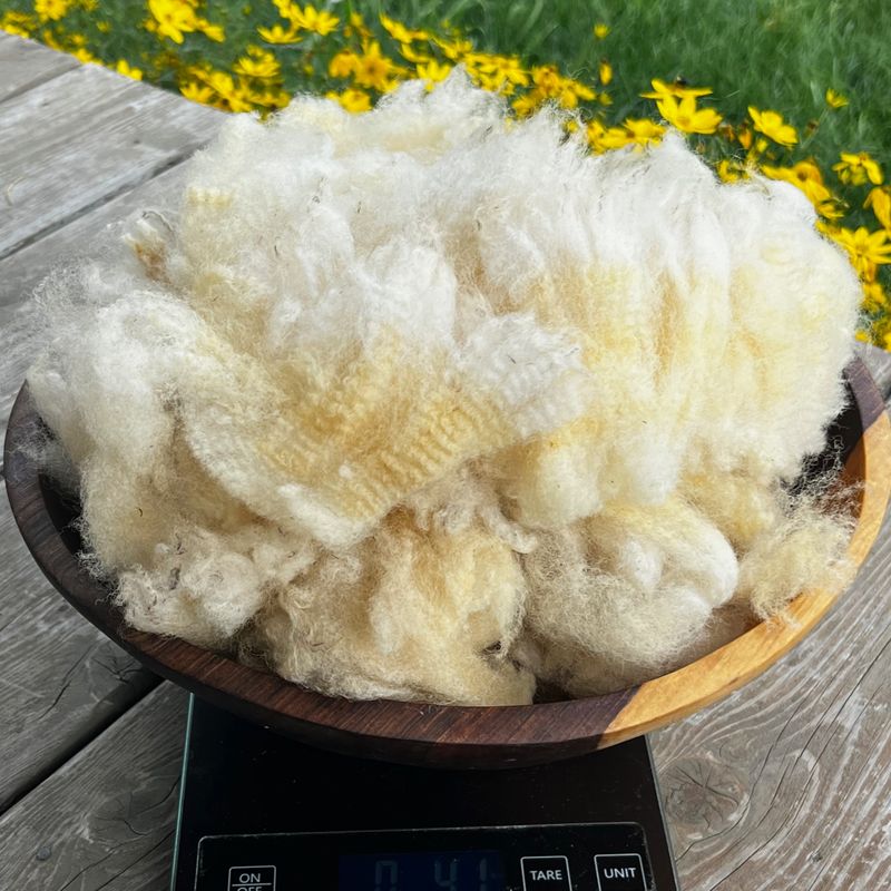 Abigail&#39;s Raw Wool Fleece - 4 oz.