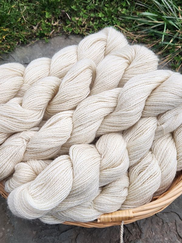 Pygora / Clun Forest blend yarn