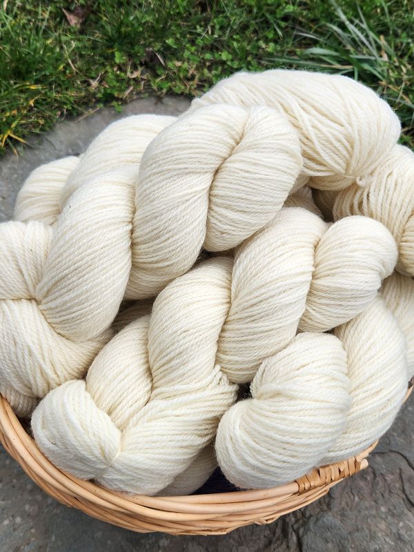 Clun Forest - premium and blend