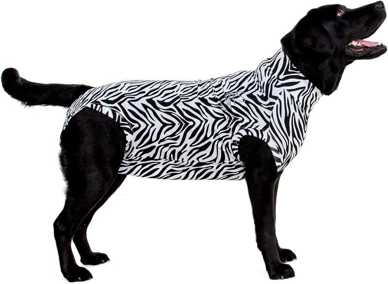 MPS Medical Pet Shirt Zebra
