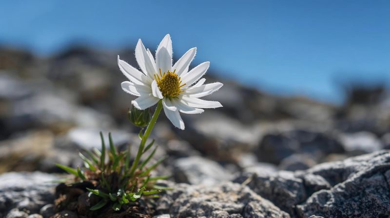 Ökoprodukte- BAG IN BOX