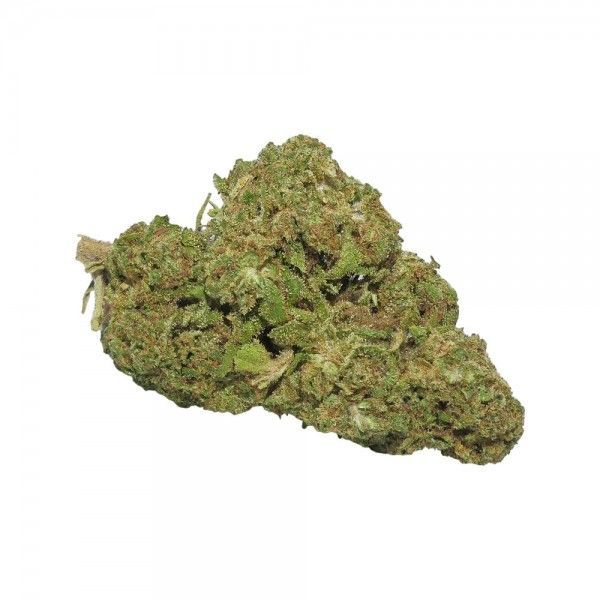 Fleur de CBD * CANNATONIC * GreenHouse