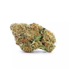 Fleur de CBD * JACK HERER * GreenHouse