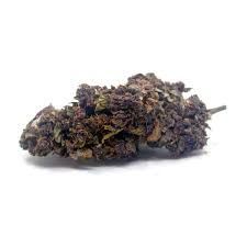 Fleur de CBD * PURPLE HAZE * GreenHouse