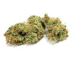 Fleur de CBD * SILVER HAZE *  Hydro Indoor