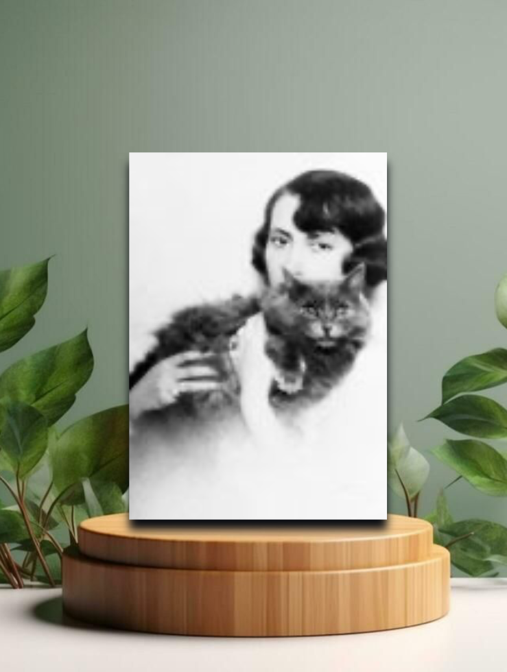 Vintage Postkarten - Perserkatze mit Dame - 12x17cm