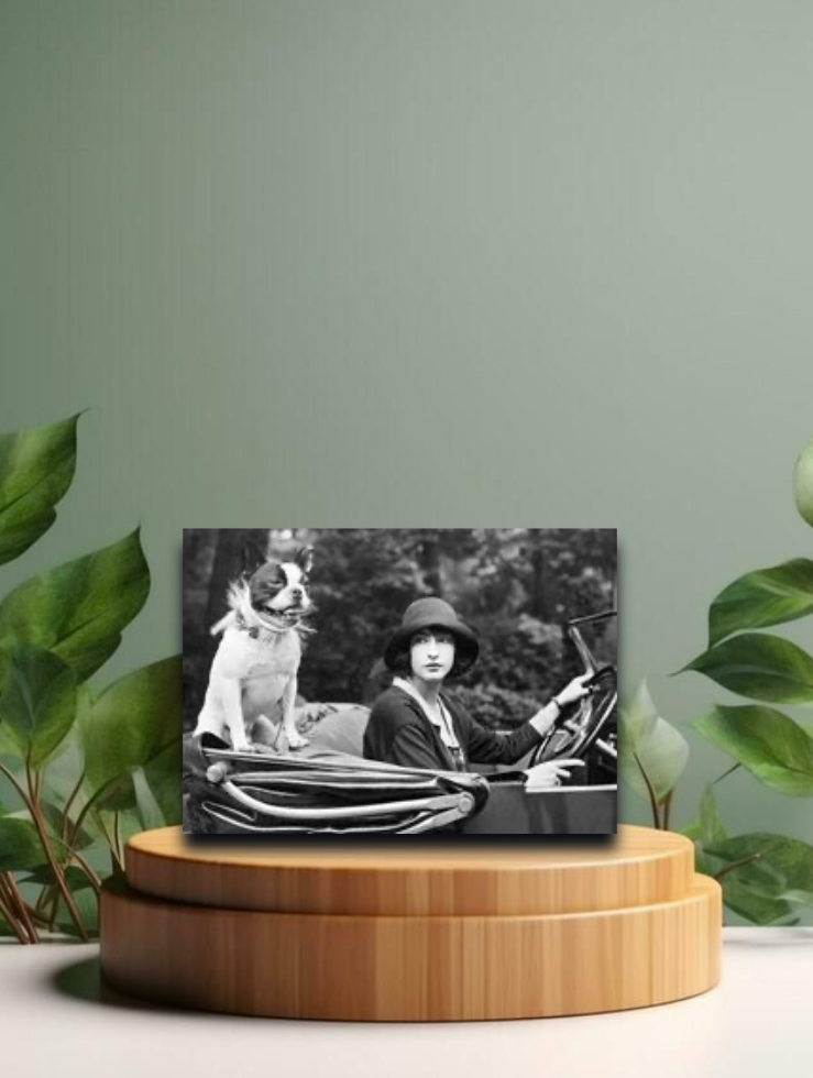 Vintage Postkarten - Frau Goldschmidt mit Dogge im Cabrio - 12x17cm
