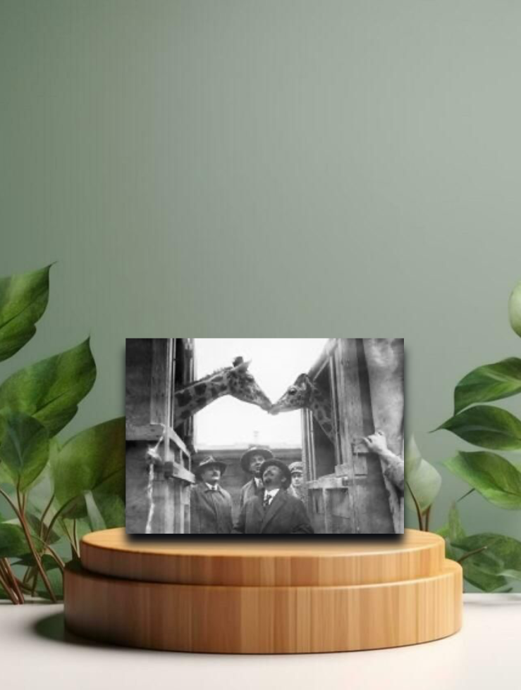 Vintage Postkarten - Wieder vereint - 12x17cm