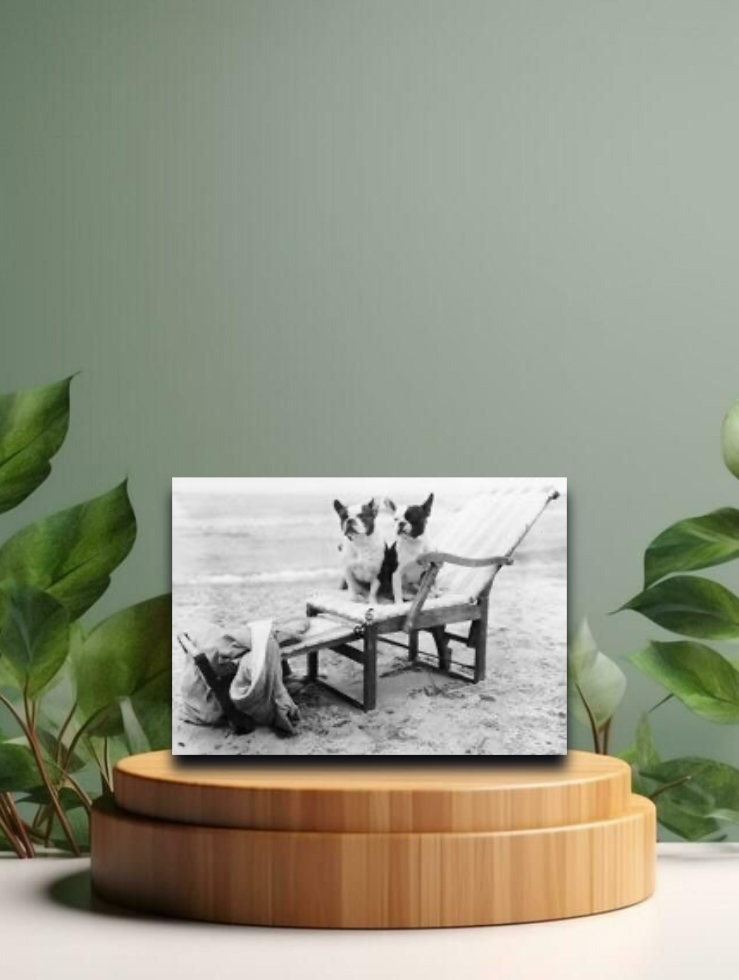 Vintage Postkarten - Hier ist schon besetzt - 12x17cm