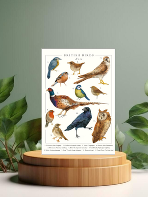 Nature's Pocketbook British Birds