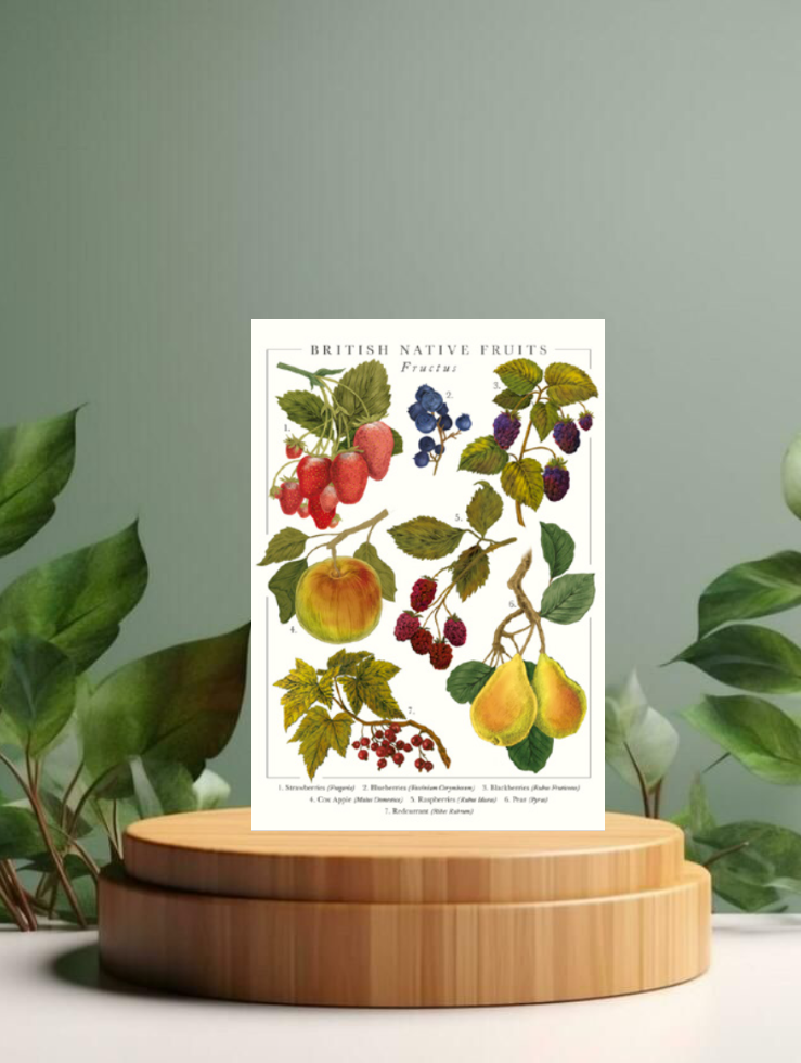 Nature&#39;s Pocketbook British Native Fruits