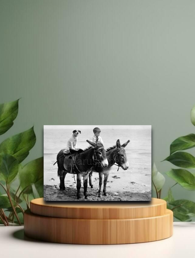 Vintage Postkarten Tierisch gute Freunde schwarz/weiss 12x17cm