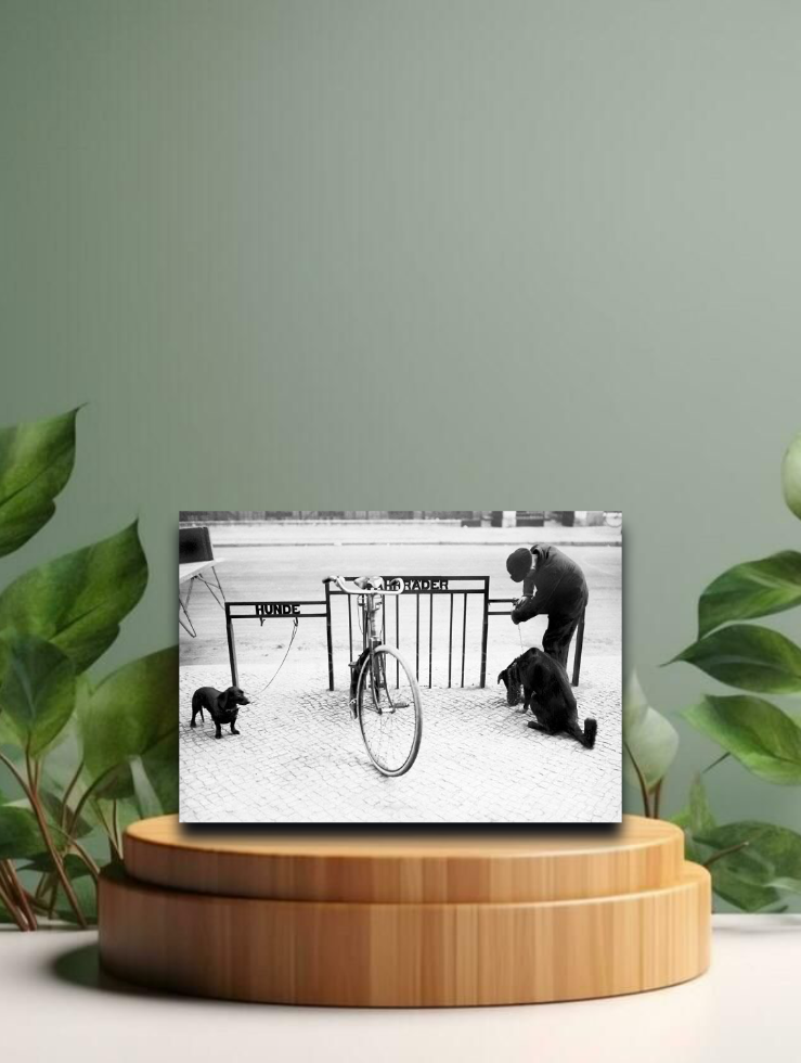 Vintage Postkarten - &quot;Alles hat seine Ordnung&quot; - 12x17cm