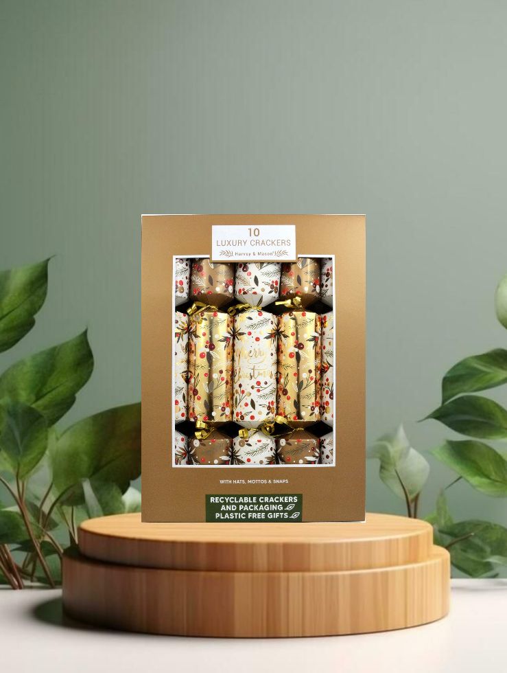 10 Family Christmas Crackers Gonk