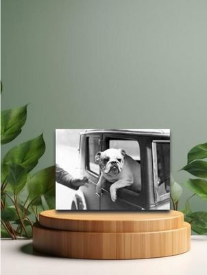 Vintage Postkarten Wo ist mein Chauffeur schwarz/weiss 12x17cm