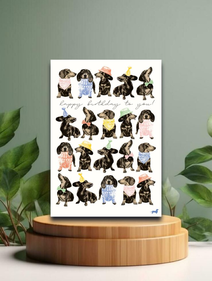 Call me Frank Happy Birthday To You