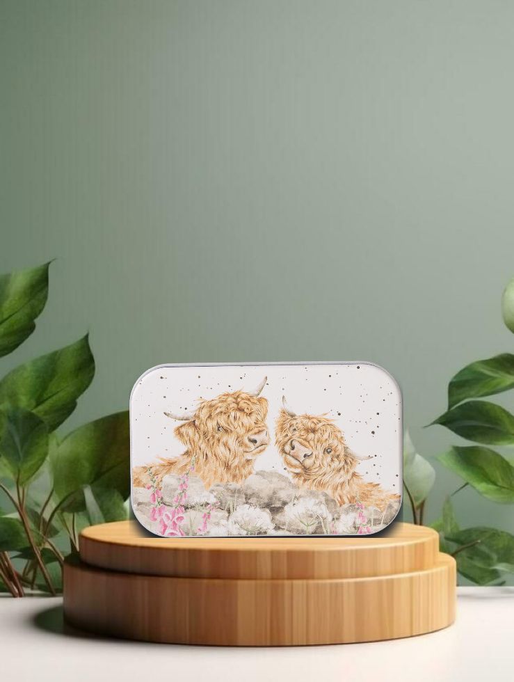 'Just for moo' cow mini tin