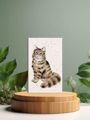 'Feline fabulous' Cat Notepad