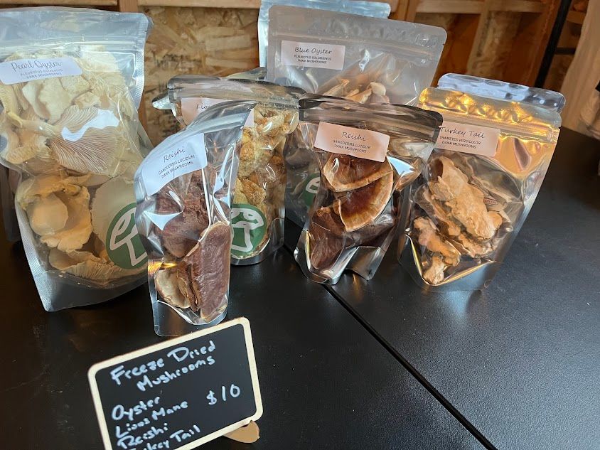 Freeze Dried Branched Oyster Mushrooms