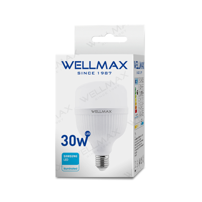 LAMPARA LED 30 W. 240V. FRIA E27 "WELLMAX" (equ.250W)