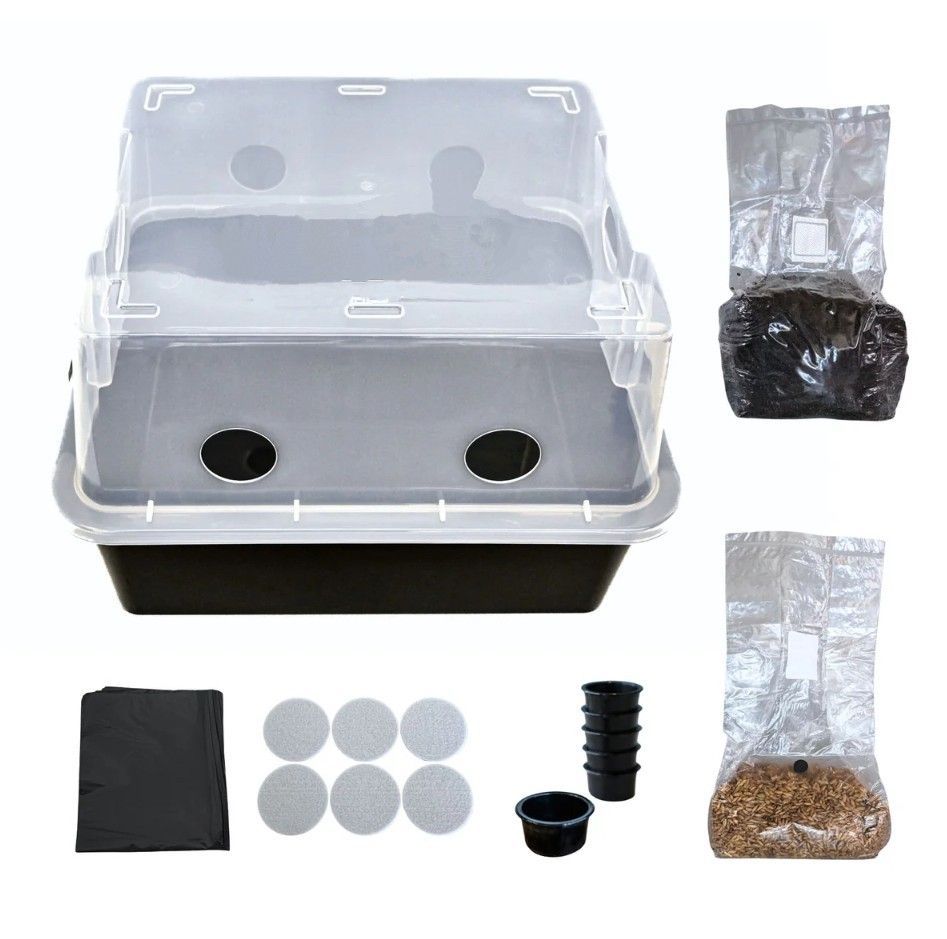 SMALL Mushroom Monotub Complete Grow Kit