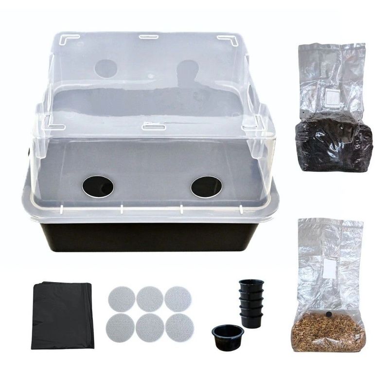 SMALL Mushroom Monotub Complete Grow Kit