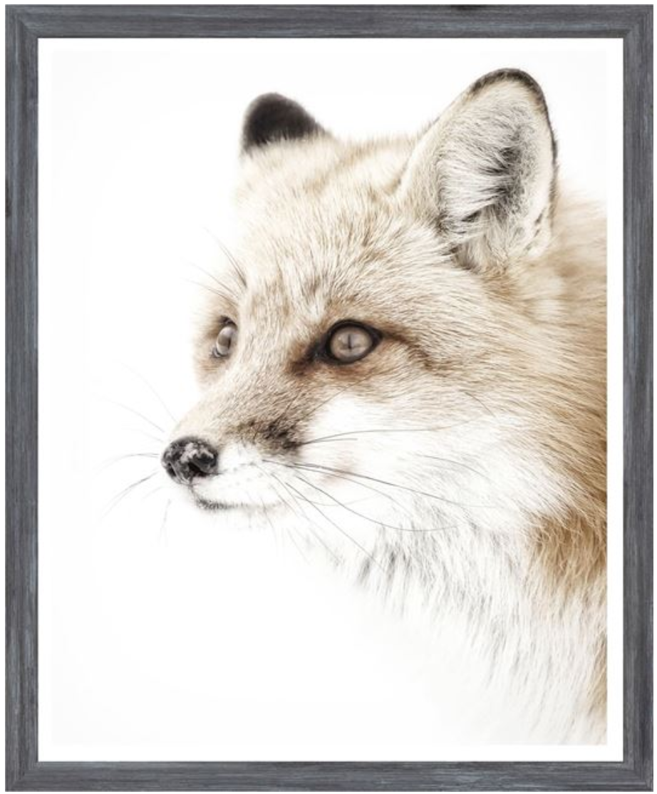Red Fox - Mini Grey 13x16