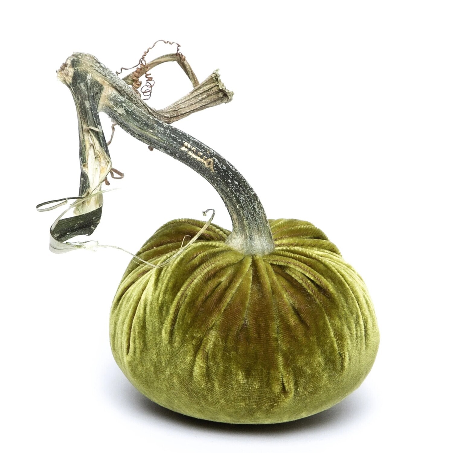 HOT SKWASH CACTUS SILK VELVET PUMPKIN