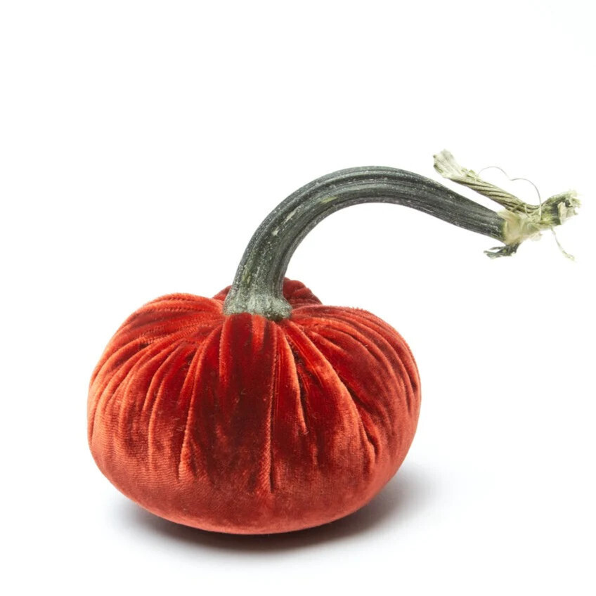 HOT SKWASH RUST SILK VELVET PUMPKIN
