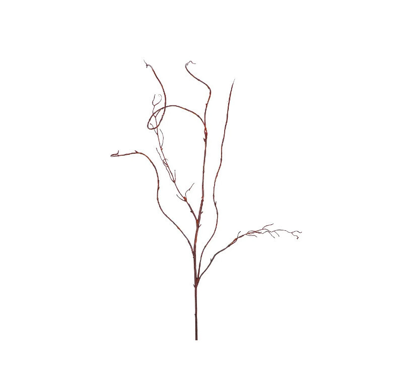 Curly Willow Vine 48&quot;